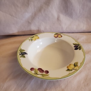 Mikasa Optima Super Strong Fine China  Fruit Rapture Design 6.26 Rimmed Berry or Sauce Bowl Replacement Dish Made in Japan