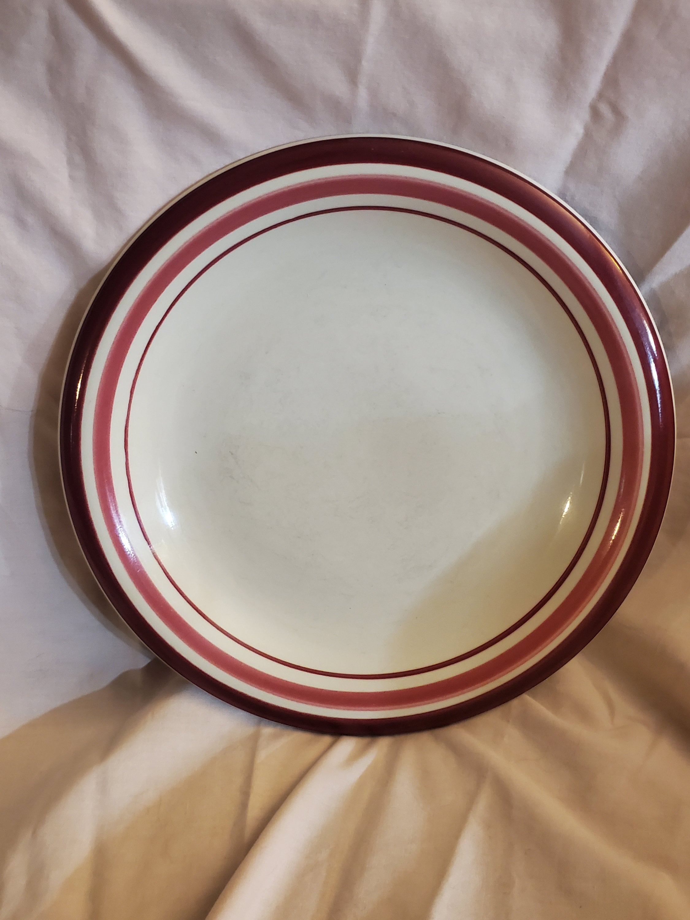 JMP Colorifics Stoneware, 9.5 inch Restaurant Ware Plate, Microwave, Freezer and Dishwasher Safe, Made in Japan