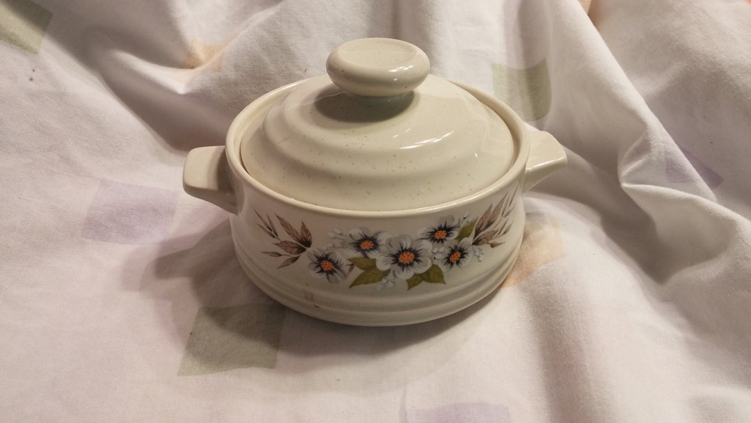 1980s Heavenly Bake Serve N Store Stoneware Casserole Dish With Lid and
