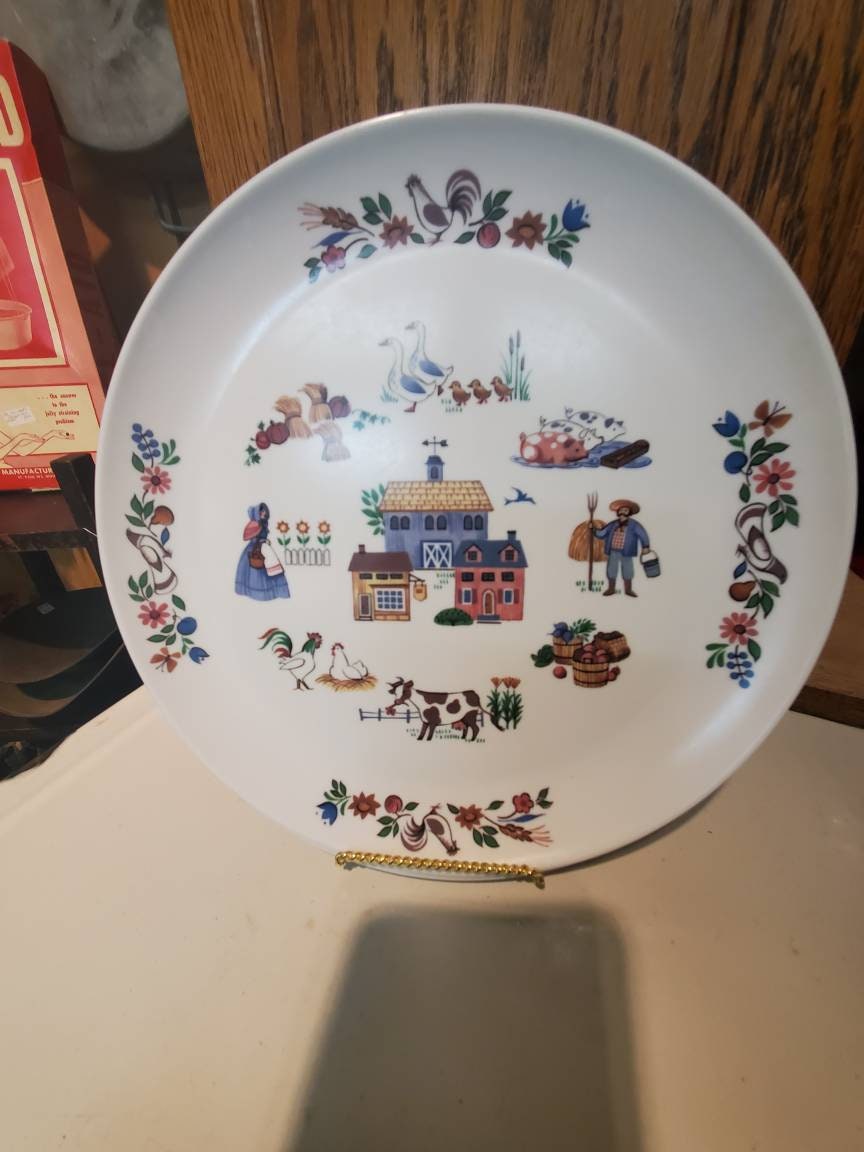 Set of 4, Amish Pattern, Homestead Style Plates, Picnic