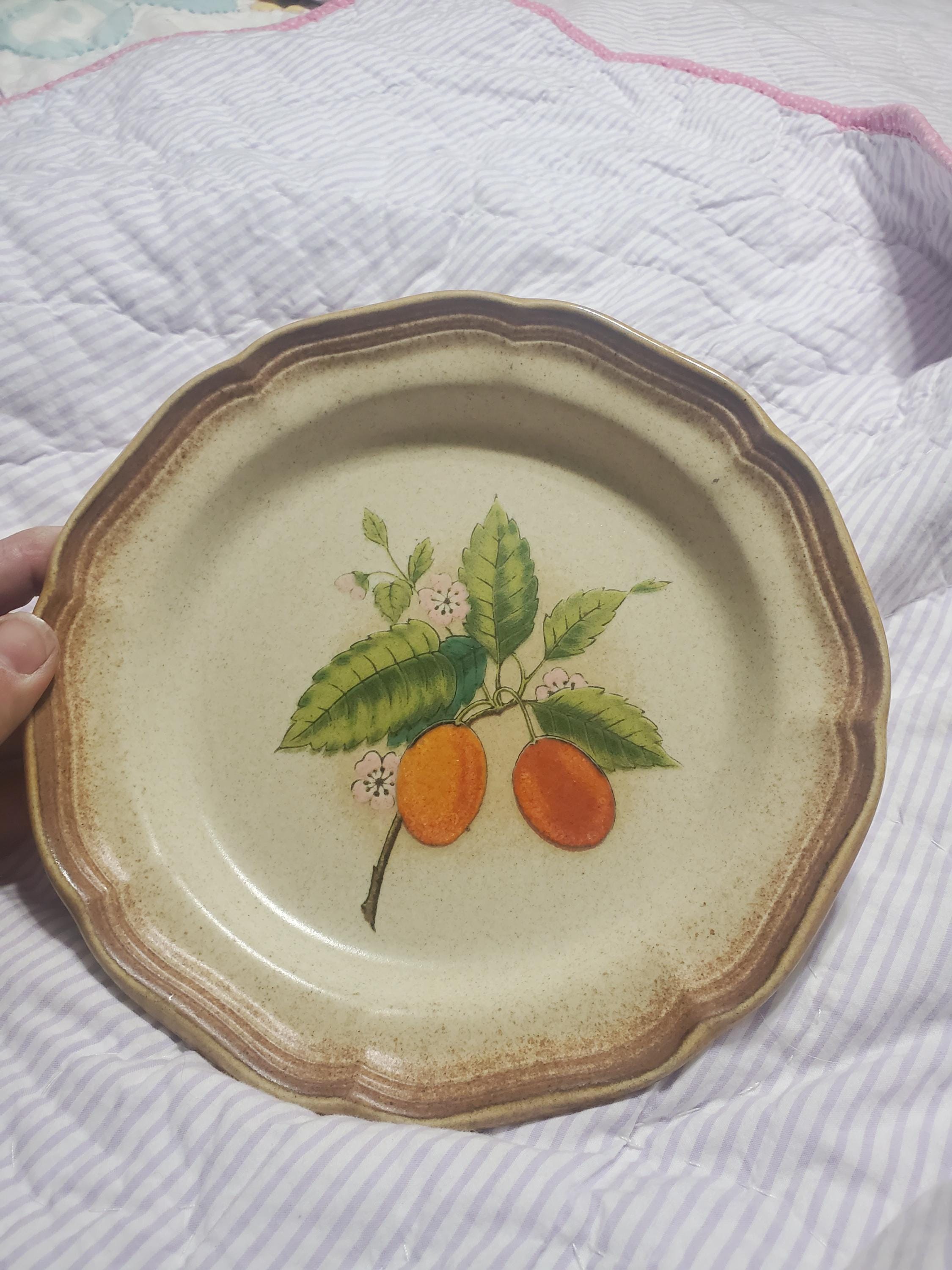 ミカサ 全粒小麦、キンカン、8インチサラダプレート、フルーツと花の