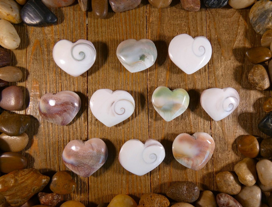 Shiva Shell Small Small Shiva Shell Hearts - Shiva Shell Hearts, Shiva Shell, Puffy ...