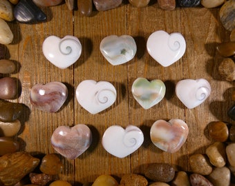 Small Shiva Shell Hearts - Shiva Shell Hearts, Shiva Shell, Puffy Hearts, Palm Stone, Shell Heart, Seashell Heart, Anniversary Gift, Romance