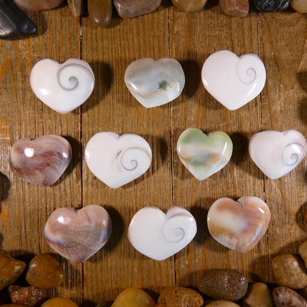 Small Shiva Shell Hearts - Shiva Shell Hearts, Shiva Shell, Puffy Hearts, Palm Stone, Shell Heart, Seashell Heart, Anniversary Gift, Romance