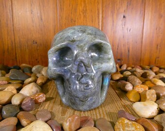 Labradorite Skull 3lb 9oz - Labradorite Skull, Labradorite Skeleton, Rock Skull, Gemstone Skull, Skeleton, Skull, Altar Tools, Carved Skull