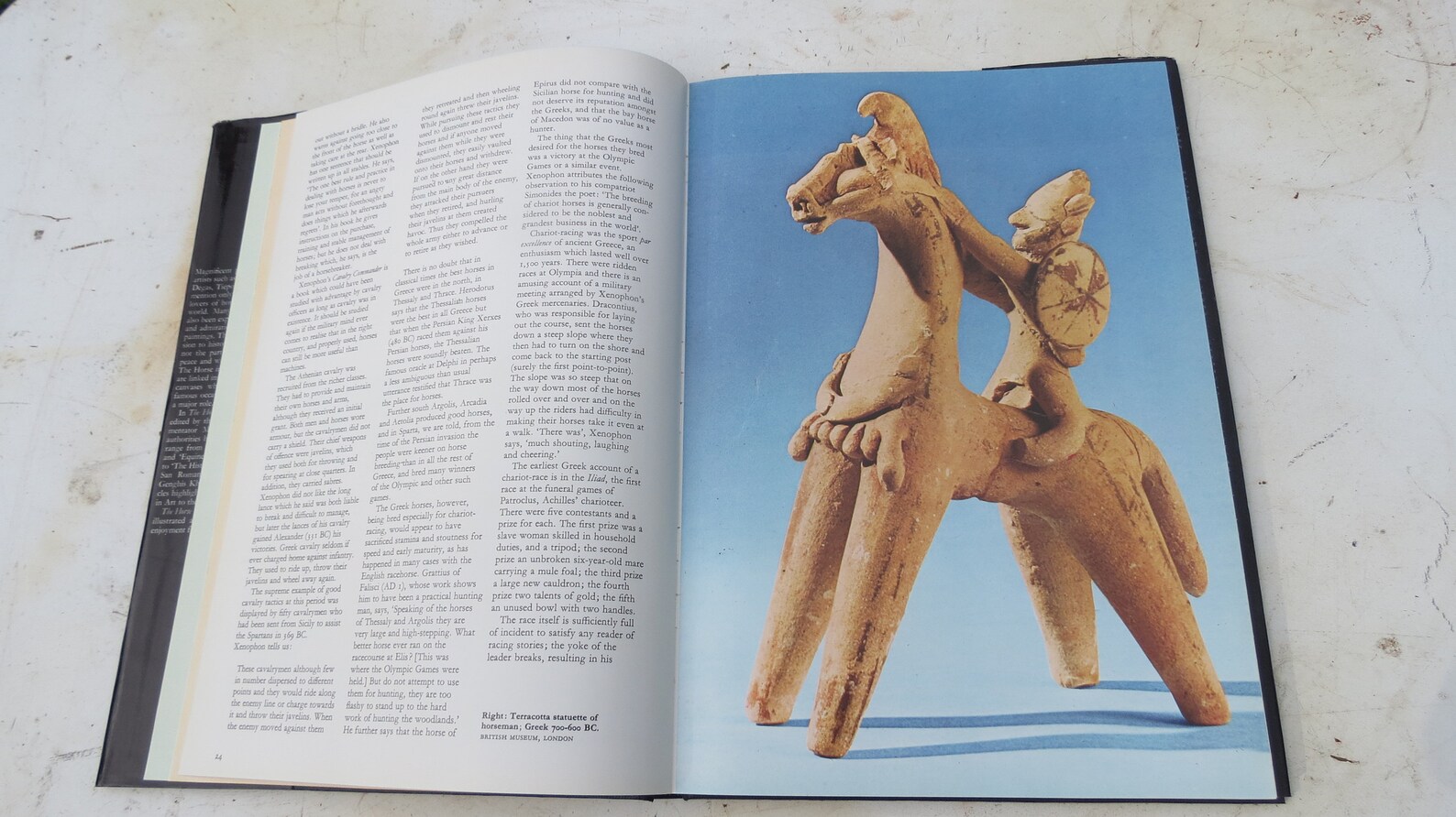 Hardcover Book the Horse in Art and History Etsy