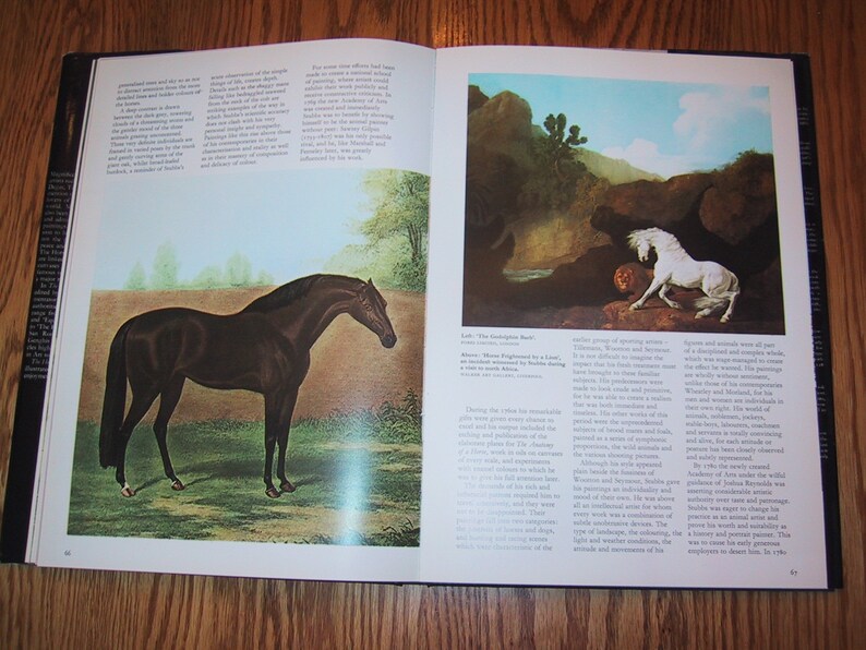 Hardcover Book the Horse in Art and History Etsy