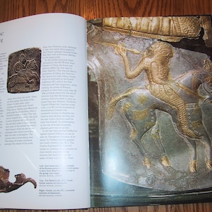 Hardcover Book The Horse in Art and History