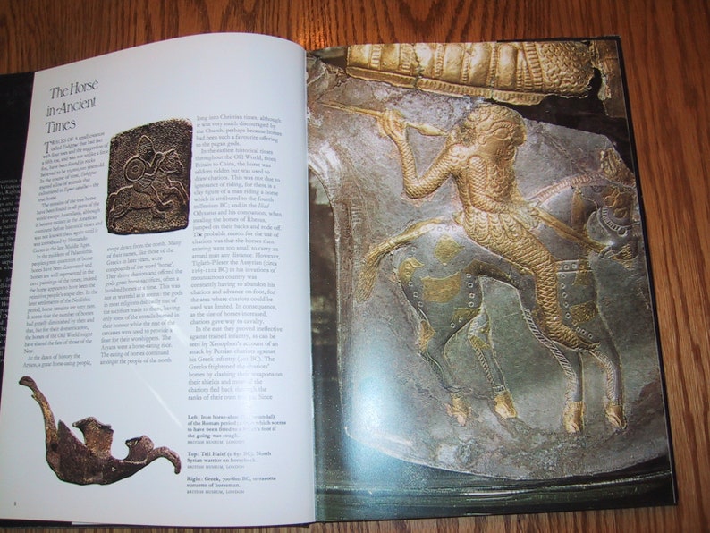 Hardcover Book the Horse in Art and History Etsy