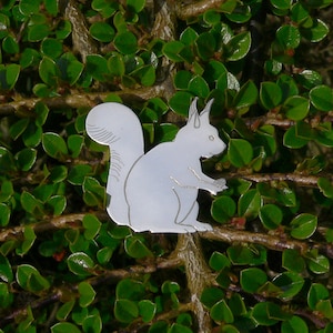 Silver Red Squirrel Brooch