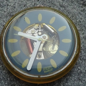 Swatch Swiss CATCHER In THE RHYE