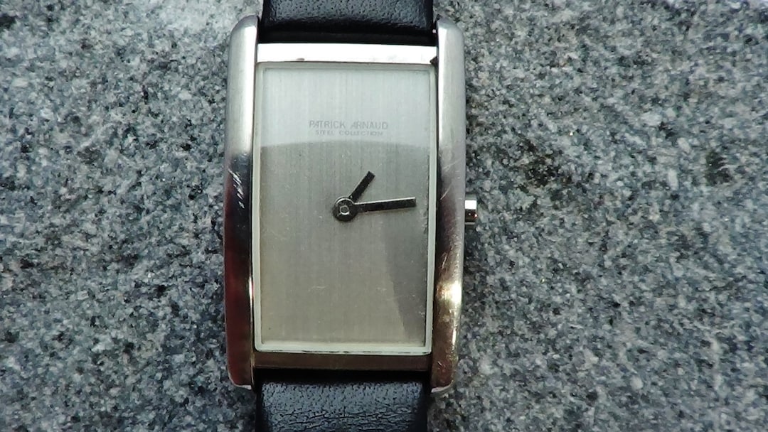 Patrick Martin Geneva Watches Patrick Arnaud Swiss STEEL HARD