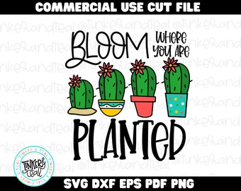 Bloom Where You Are Planted SVG, Cactus svg, gift for plant lover, mothers day, summer decor, Cut files for Cricut, sublimation png