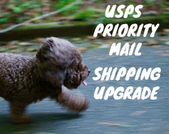 Upgrade to USPS Priority Mail