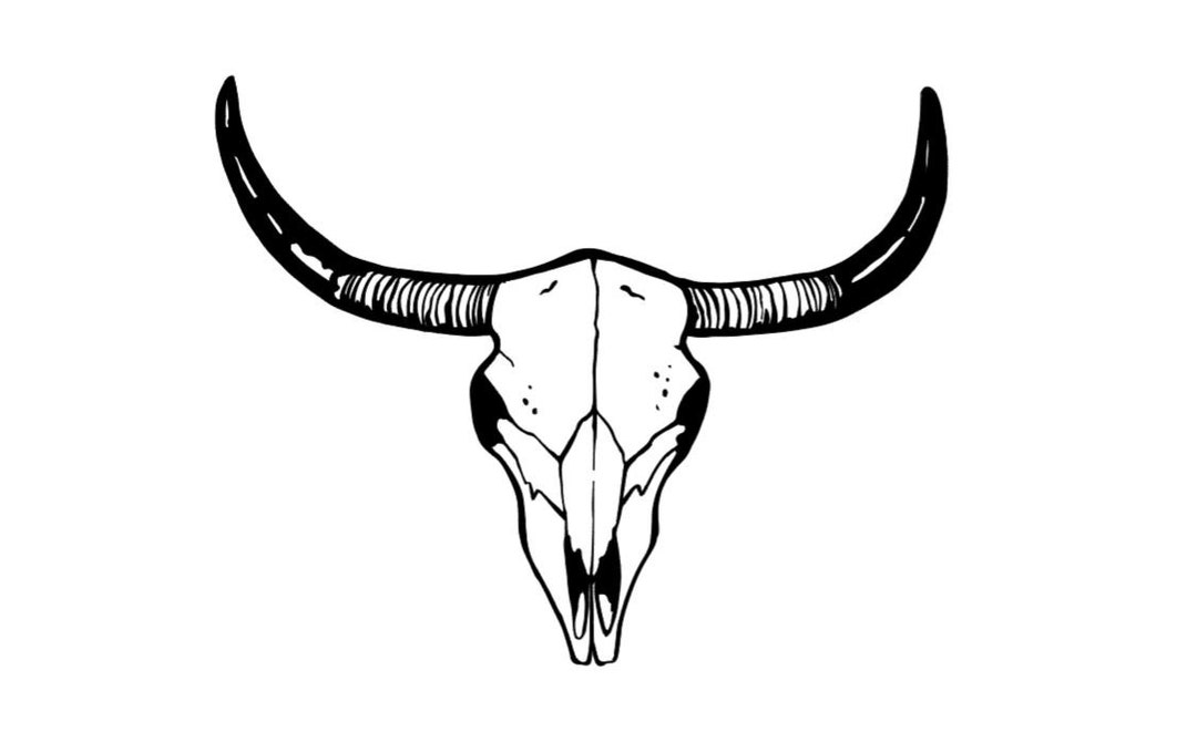 STEER Skull Decal Western Decal Western Skull Decal Window Decal
