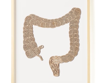 Anatomical Large Intestine Colon Lasercut Wooden Artwork, Doctor, Medical Student Gift, Scientist, Nurse