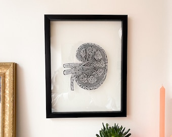 Framed Anatomy Human Kidney Papercutting Artwork, Doctor, Medical Student Gift, Scientist, Nurse, Transplant Gift