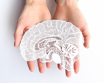 Anatomical Brain Laser-Cut Papercutting Artwork, Neurology Gift, Doctor, Medical School Graduation, Therapist Art