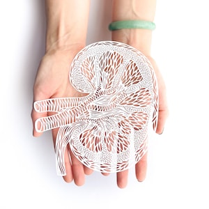 Anatomiczna nerka wycinana laserowo, papierowa grafika, prezent na przeszczep nerki, prezent dla lekarza, ukończenie studiów medycznych