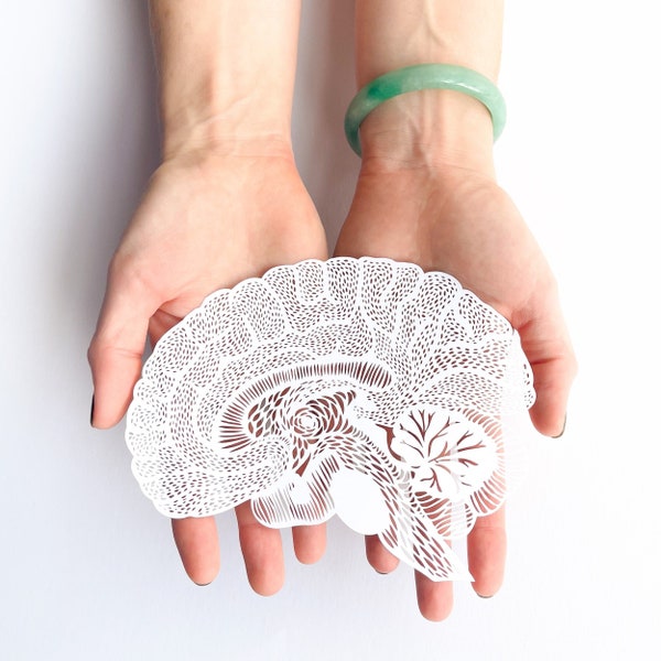 Anatomical Brain Laser-Cut Papercutting Artwork, Neurology Gift, Doctor, Medical School Graduation, Therapist Art