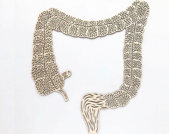 Anatomica Large Intestine Colon Lasercut Wooden Artwork