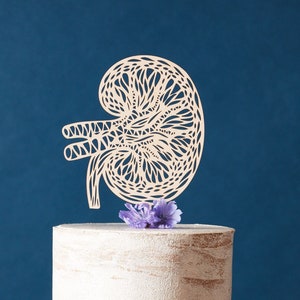 Kidney Anatomy Cake Topper - Transplant Cake Topper, Medical grade Gift, Surgery Cake topper, Human Kidney