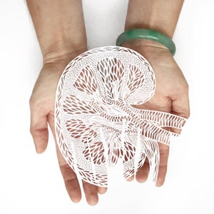 Framed Anatomy Human Kidney Papercutting Artwork, Doctor, Medical Student Gift, Scientist, Nurse, Transplant Gift image 5