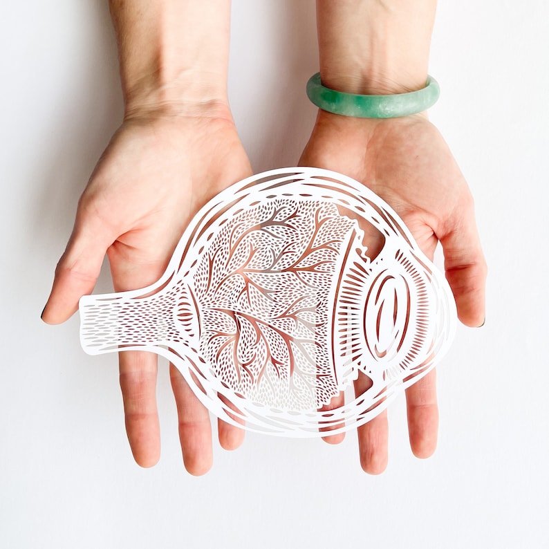 Anatomical Eyeball Laser-Cut Papercutting Artwork image 1