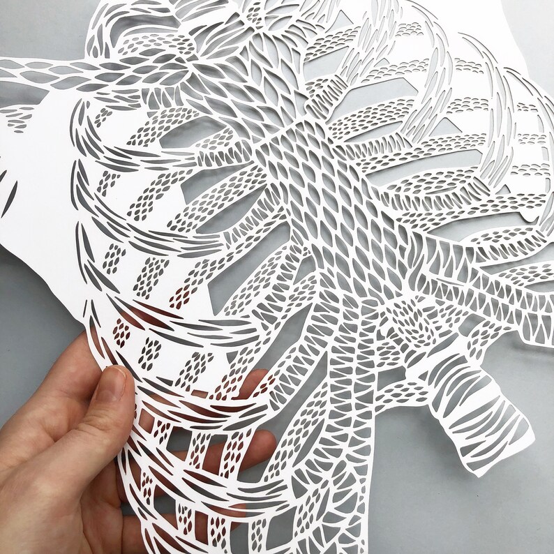 Paper Rib Cage Anatomical Rib Cage Laser-cut Papercutting Artwork - Etsy