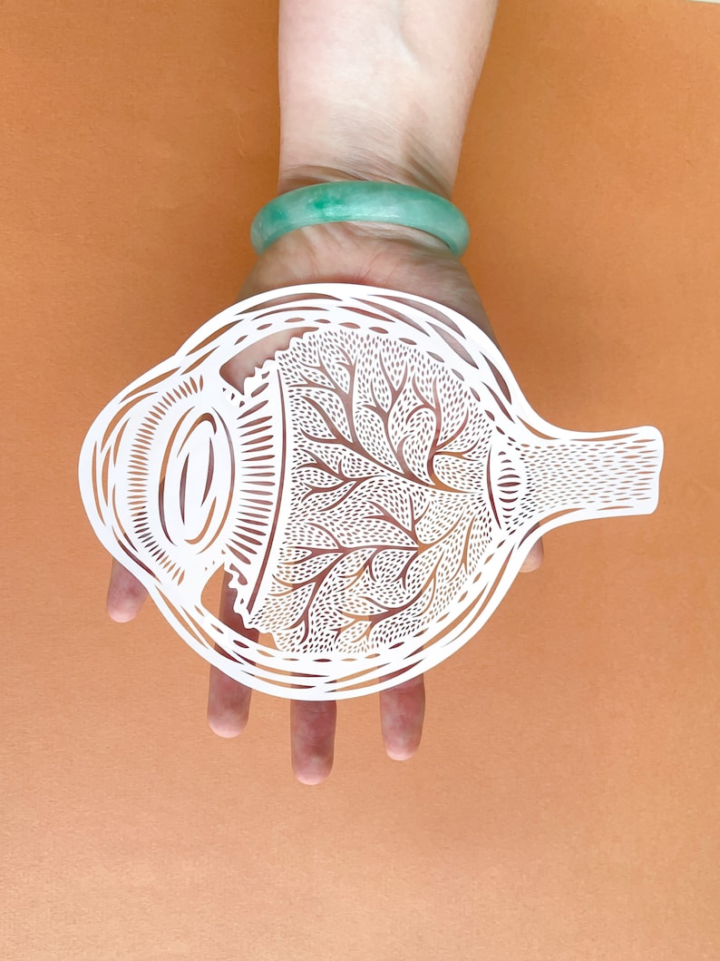 Anatomical Eyeball Laser-Cut Papercutting Artwork image 5