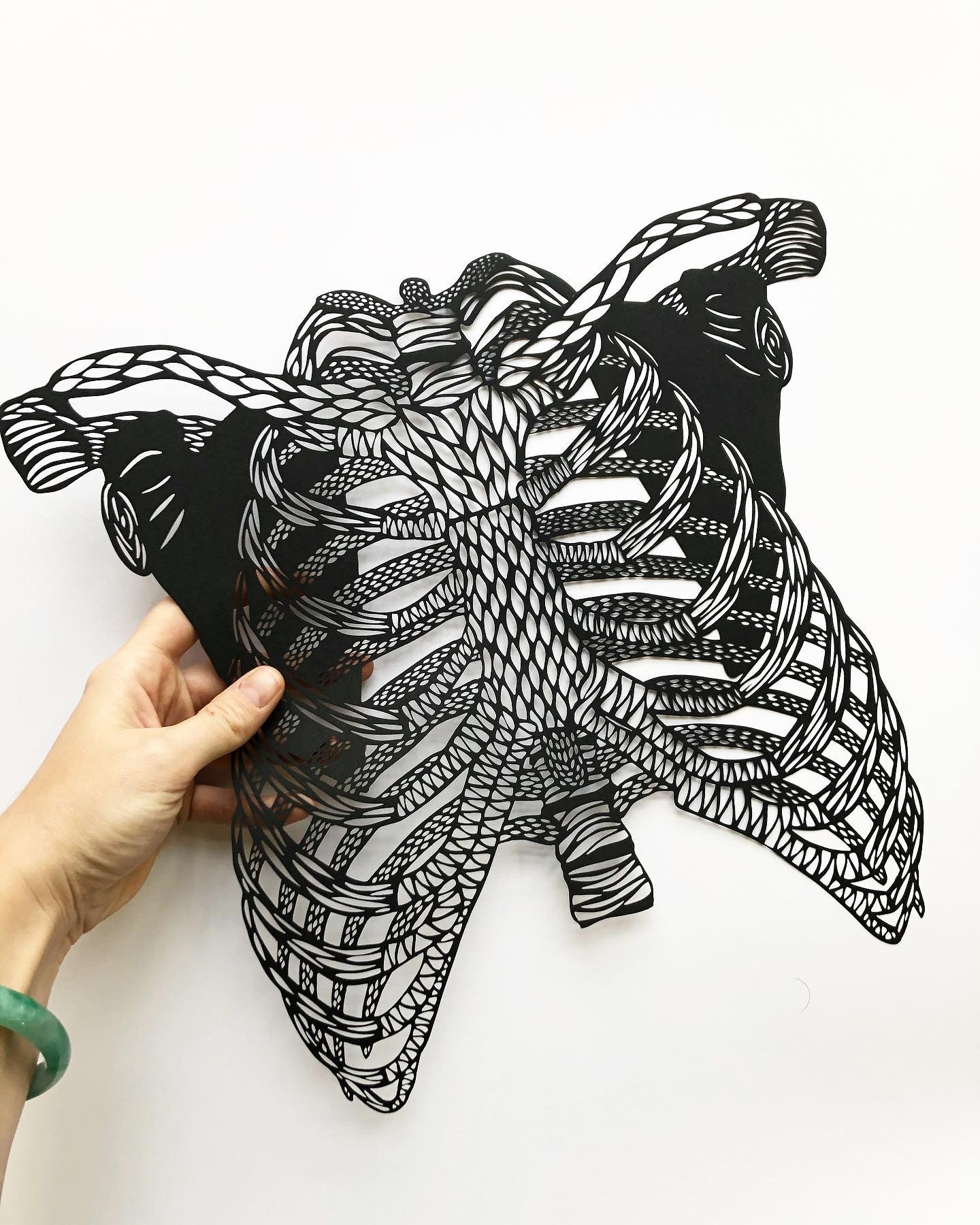 Paper Rib Cage Anatomical Rib Cage Laser-cut Papercutting Artwork - Etsy