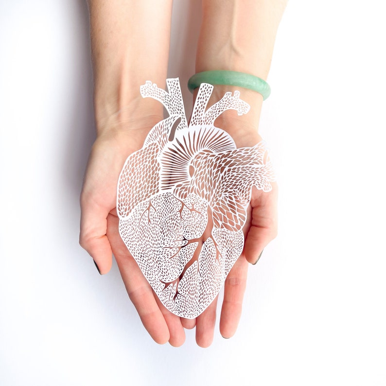 Anatomical Heart Papercutting Artwork, Doctor gift, Medical Student Graduation image 1