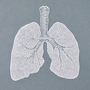 Anatomical Lungs Laser-Cut Papercutting Artwork, Lung Transplant, doctor gift, medical student graduation gift image 6