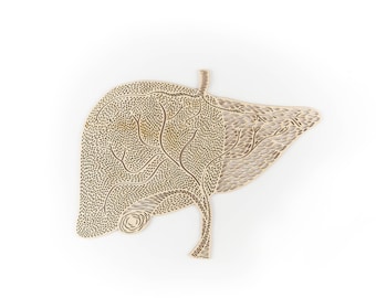 Anatomical Liver Lasercut Wooden Artwork