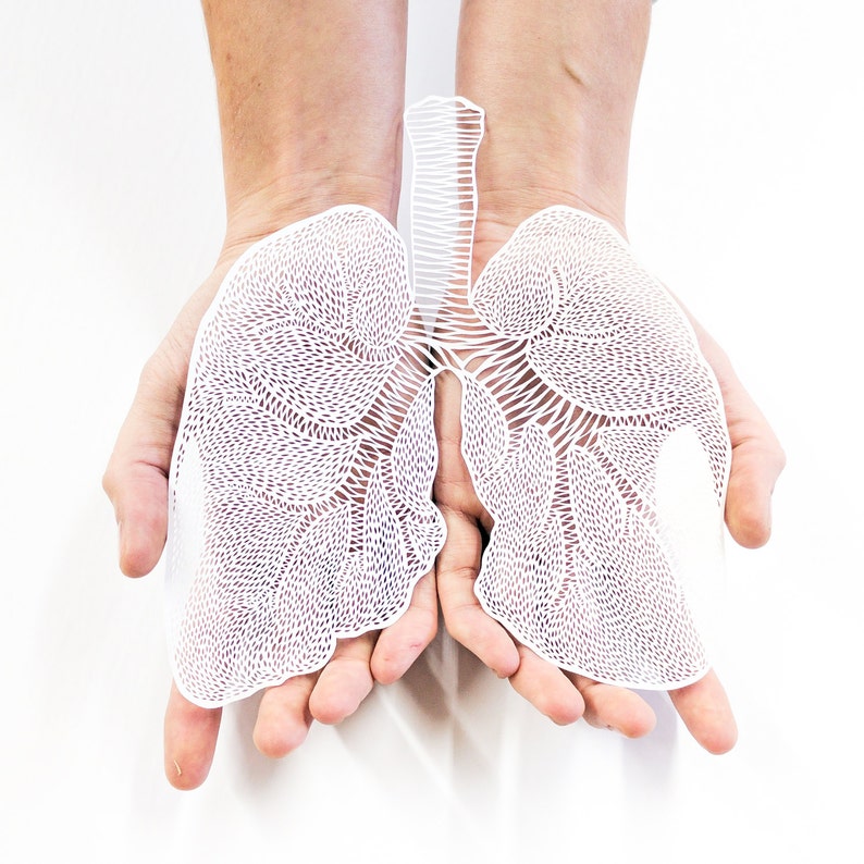 Anatomical Lungs Laser-Cut Papercutting Artwork, Lung Transplant, doctor gift, medical student graduation gift image 8