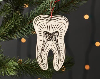 Tooth Anatomy Ornament, Dentist, Orthodontist, Dental Hygenist, Dental School Graduation