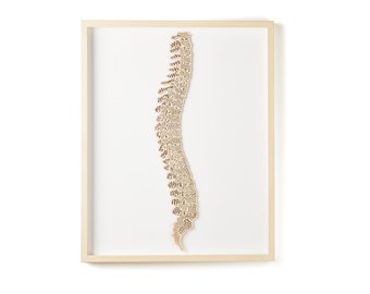 Anatomical Spine Lasercut Wooden Artwork