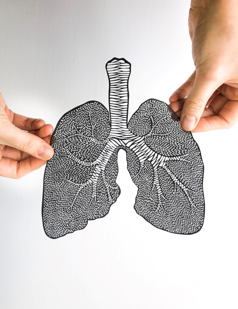 Anatomical Lungs Laser-Cut Papercutting Artwork, Lung Transplant, doctor gift, medical student graduation gift image 4