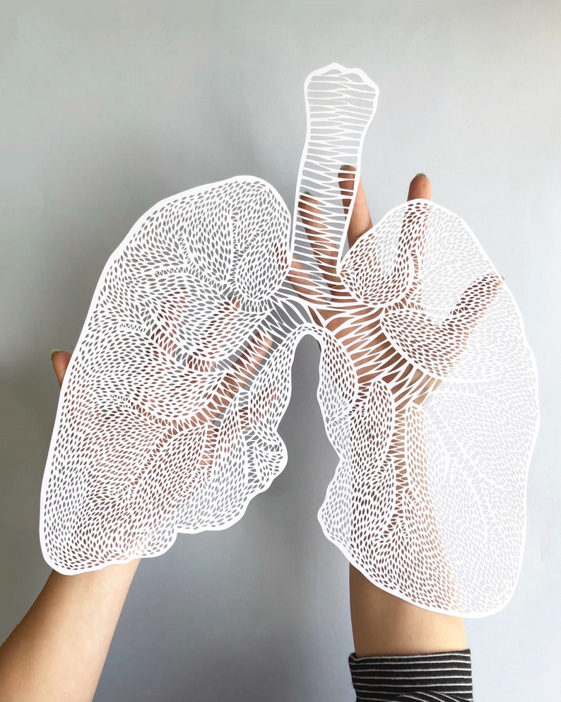 Anatomical Lungs Laser-Cut Papercutting Artwork, Lung Transplant, doctor gift, medical student graduation gift image 2