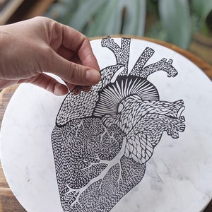 Anatomical Heart Papercutting Artwork, Doctor gift, Medical Student Graduation image 2