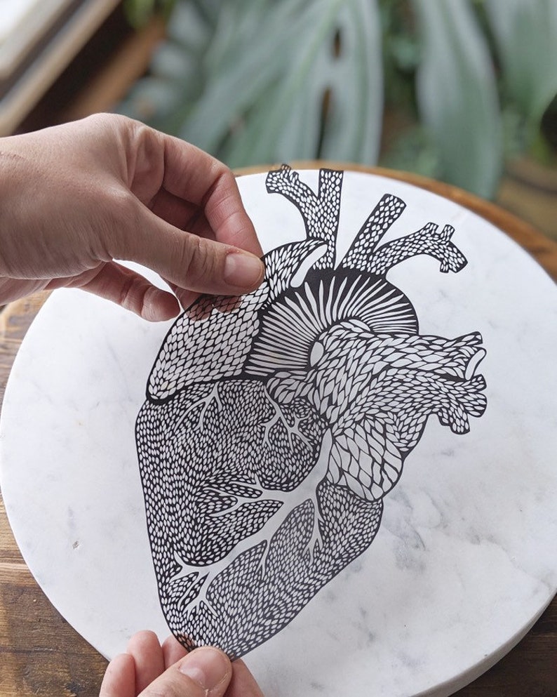 Anatomical Heart Papercutting Artwork, Doctor gift, Medical Student Graduation image 2