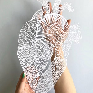 Anatomical Heart Papercutting Artwork, Doctor gift, Medical Student Graduation image 4