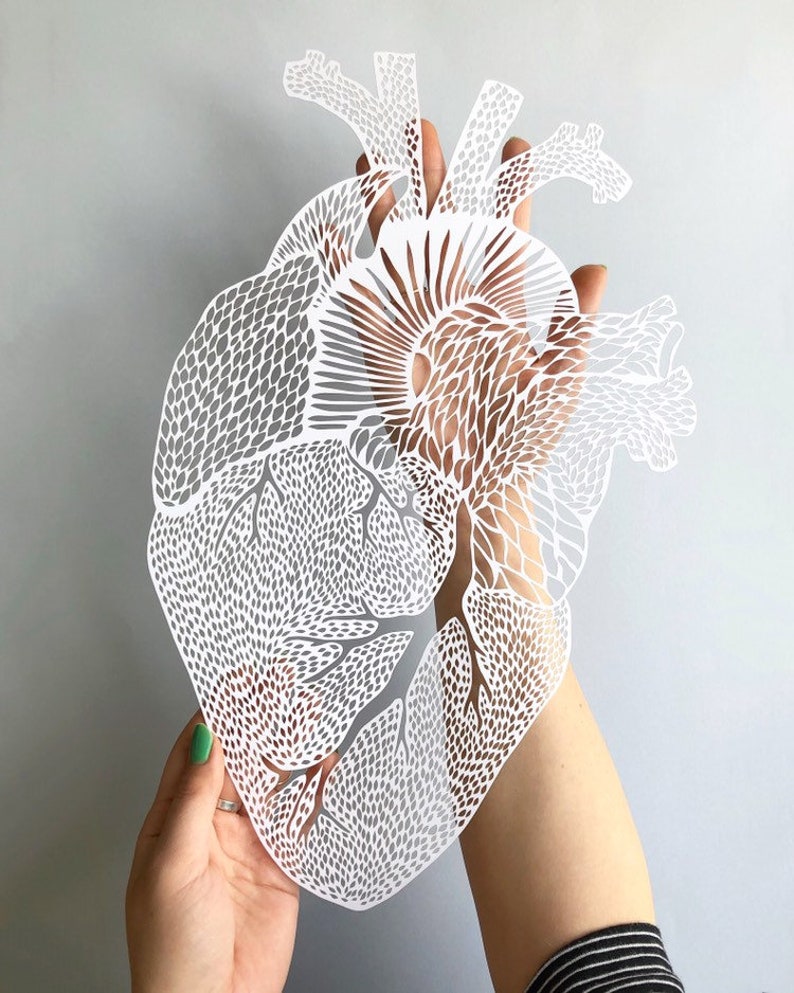 Anatomical Heart Papercutting Artwork, Doctor gift, Medical Student Graduation image 4