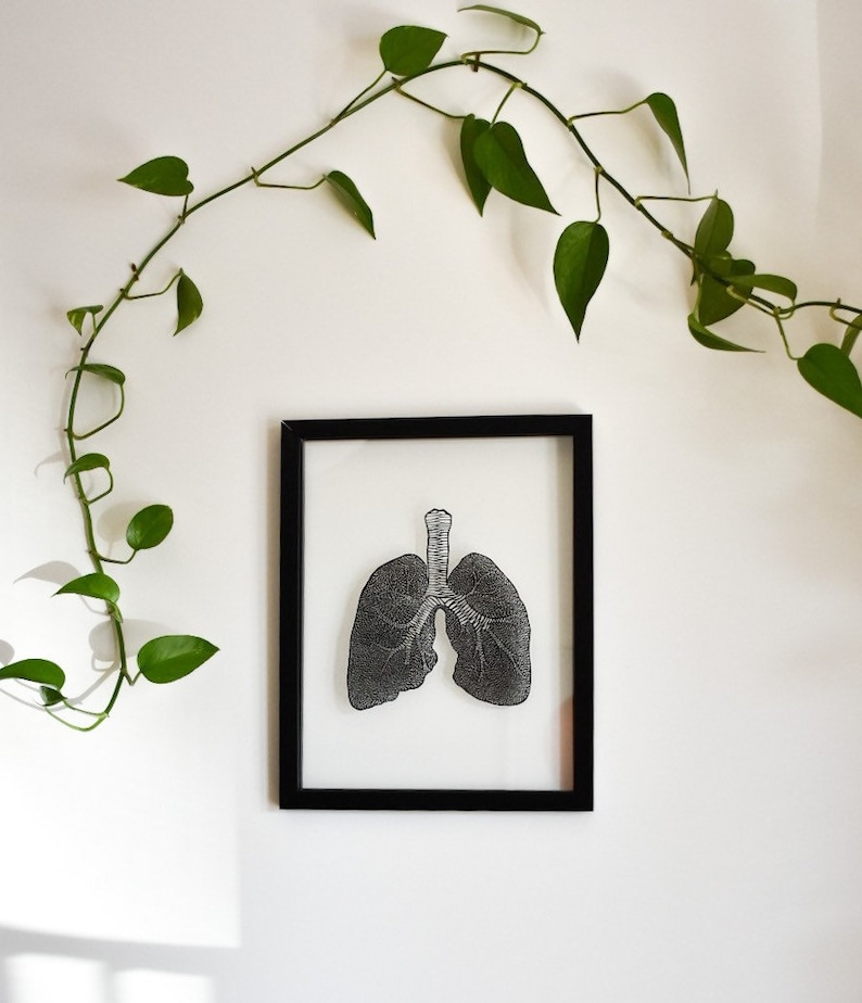 Anatomical Lungs Laser-Cut Papercutting Artwork, Lung Transplant, doctor gift, medical student graduation gift image 5