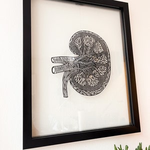 Framed Anatomy Human Kidney Papercutting Artwork, Doctor, Medical Student Gift, Scientist, Nurse, Transplant Gift Black