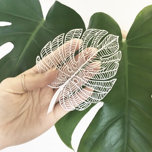 Laser-Cut Papercutting Artwork - Monstera Leaf
