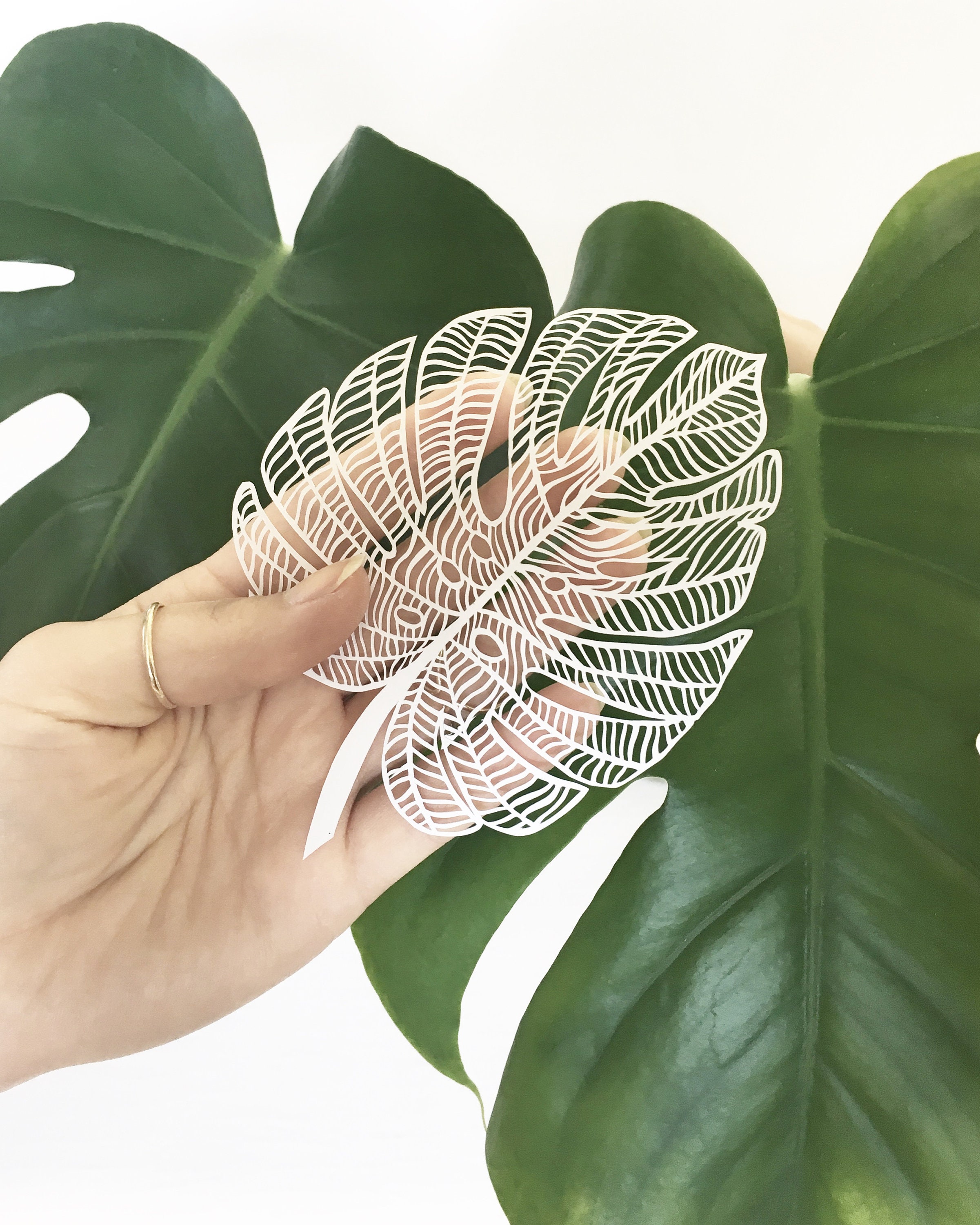 Laser-cut Papercutting Artwork - Monstera Leaf - Etsy Israel