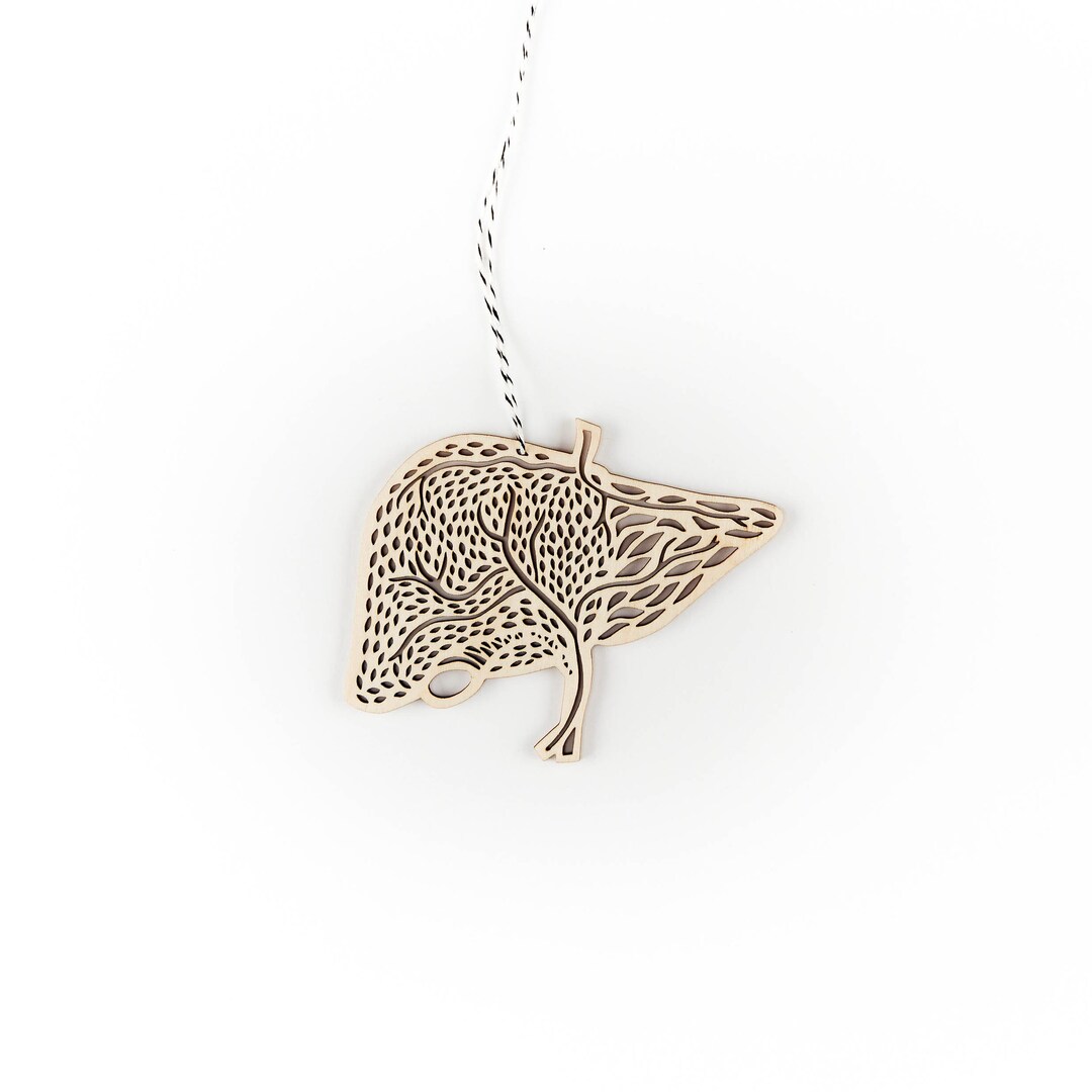 Liver Anatomy Ornament, Gift for Doctor, Nurse, Sobriety Gift, Medical ...