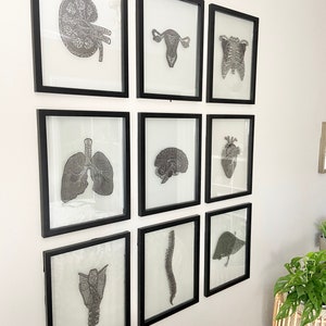 nine anatomy papercutting pieces framed in a grid style with a plant