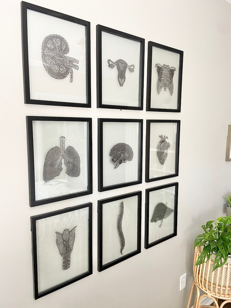 nine anatomy papercutting pieces framed in a grid style with a plant